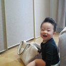 성플 이미지