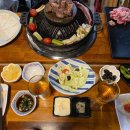 징기스달동