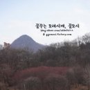 강화도마리마리 이미지