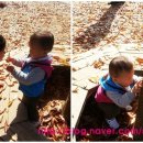 호서어린이집 이미지