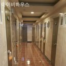 아이비하우스
