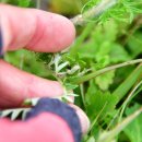 하루산책 이미지