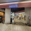 몰리스펫샵 센텀 이미지