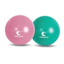 피트니스공 이미지