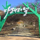 보탑사