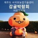 서귀포농업기술센터 | 제주 남원 가볼만한곳 무료관광지 서귀포농업기술센터 감귤박람회 어린이 체험후기