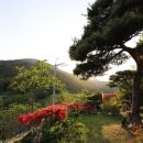 용소웰빙공원(입구) 이미지