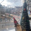 그루나루 | 친구들이랑 모임 중에 들른 응암동 루프탑 카페 후기 커핀그루나루 응암점