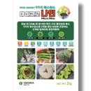 베스트에스지 | 참깨가 갑자기 시들시들? '참깨 시들음병' 증상과 확실한 예방 대책 총정리!