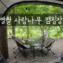 사랑나무 캠핑장 이미지