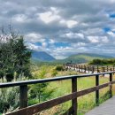 오늘도 샌드 이미지