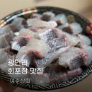 광안리 횟집 여수상회 참돔 유비끼 추천 후기