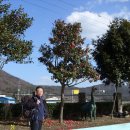 화홍초교 이미지