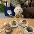 굿스터프 | 부천 원미동 카페_굿스터프