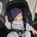 동탄기흥로257번길L | 72주 l 16개월 아기 일상 1박2일 동탄여행 쥬라리움 주렁주렁