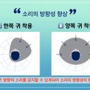 더원보청기 이미지