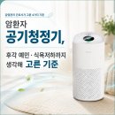 공기청정기 대신 공기정화식물, 우리 집의 작은 습지 | 암환자 공기청정기, 후각 예민·식욕저하까지 생각해 고른 기준