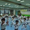 감계중앙태권도 이미지