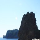울릉도 Daum카페