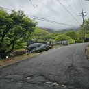 대구 비슬산 진달래산행 이미지