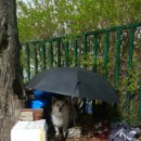 고산자로 이미지