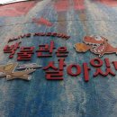 박물관은살아있다 이미지