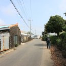 제주 올레길 11코스 이미지
