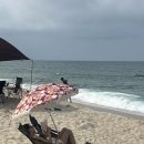 하평해변 이미지