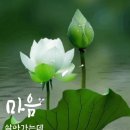 인생 삶 역경 속에 서도 조화를 이루듯이 이미지