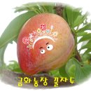 금화농장 이미지