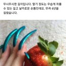 손톱마녀 이미지