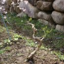 인동농장 이미지