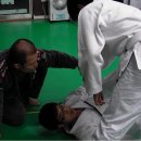 타이거 주짓수 이미지