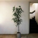 성신목장 | 오뷔르베이커리_중정과 장작이 타고 있는 분위기 좋은 을지로 대형카페 오뷔르베이커리 내돈내산 후기