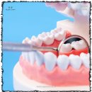 바른서울치과교정과치과의원 이미지