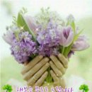 바람불어좋은날 이미지