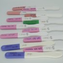 빛고을사랑약국 | 예비엄마 임신5주 임신확인서 발급 그리고 배란테스트기