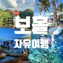 비소(조)-호-18 | 보홀 3박5일 여행 후기 호핑투어, 숙소, 맛집