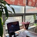 아이센스리그PC방 동암역점 | 용인 기흥 중국집 만다린 해물짬뽕 탕수육 맛집