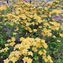 녹번동마을마당 이미지