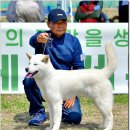 수컷 이미지