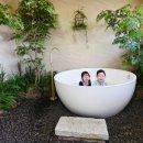 삼촌 스테이 이미지