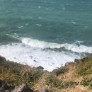 혜선식당 이미지