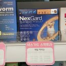 코코약국 이미지