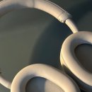 알배강 | 🎧 소니 WH-1000XM5 후기 | 노이즈 캔슬링 헤드폰 추천, 직접 써본 리얼 리뷰