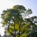 고려궁지 이미지