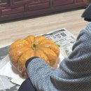 세미문고 이미지