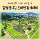 함평천지(목포) 이미지