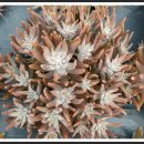 등불농장 이미지