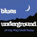 Blues Underground /St. James Infirmary 이미지